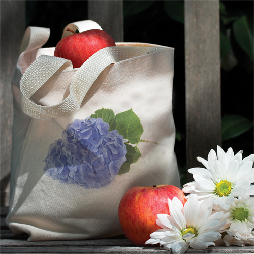 Free Gift with Purchase of 1st Book!