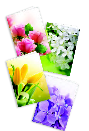 Free Gift with Purchase of Blossom Street Series!