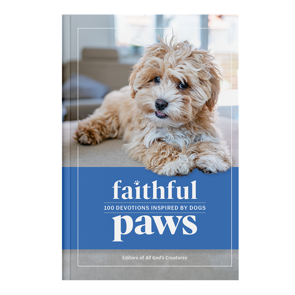 Faithful Paws