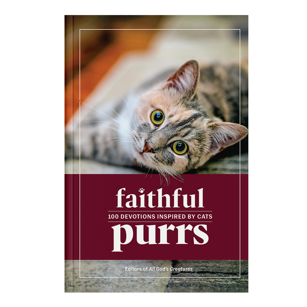 Faithful Purrs