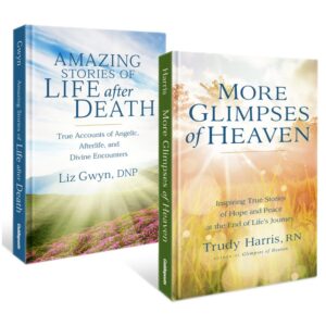 More Glimpses of Heaven & Amazing Stories of Life After Death