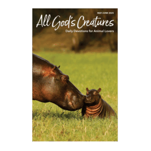 All God's Creatures Magazine