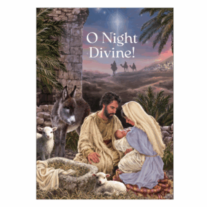 Christmas Greetings 2025: O Night Divine (Pack of 12)