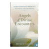 God's Constant Presence Book 7: Angels & Divine Encounters - Hardcover
