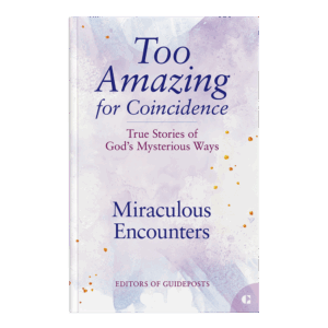 Too Amazing for Coincidence Book 4: Miraculous Encounters