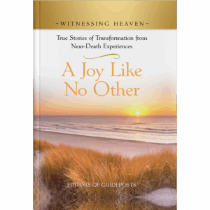 Witnessing Heaven Book 7: A Joy Like No Other