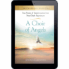 Witnessing Heaven Book 5: A Choir of Angels - ePDF