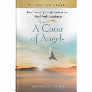 Witnessing Heaven Book 5: A Choir of Angels