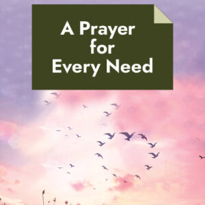 A Prayer for Every Need Military