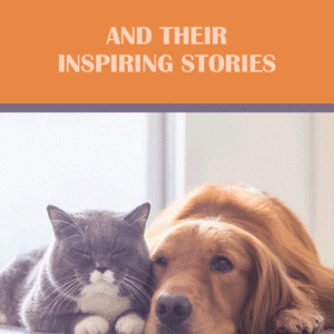 All Creatures - And Their Inspiring Stories