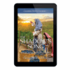 Extraordinary Women of the Bible Book 15 - The Shadow Song: Mahlah & Noah's Story- ePUB