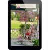 Love's a Mystery Book 3: In Cut and Shoot, Texas - ePUB