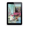 Mysteries of Lancaster County Book 11: Pride and Pettiness - ePDF