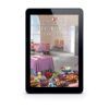 Mysteries of Lancaster County Book 13: Beg, Borrow, or Steal - ePUB