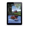 Mysteries of Lancaster County Book 15: Summer Harvest Secrets - ePUB
