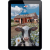 Mysteries of Lancaster County Book 19: Dairy Disaster - ePDF