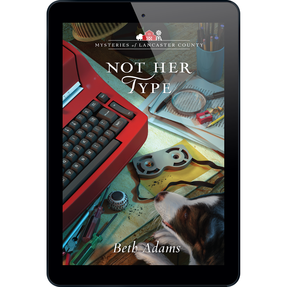 Mysteries of Lancaster County Book 20: Not Her Type - ePDF
