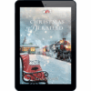 Mysteries of Lancaster County Book 21: Christmas Derailed - ePDF