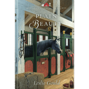 Plain Beauty - Mysteries of Lancaster County - Book 6