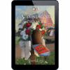 Mysteries of Lancaster County Book 25: Secondhand Chances - ePDF
