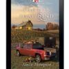 Mysteries of Lancaster County Book 7: The Ties That Bind - ePDF (Kindle Version)