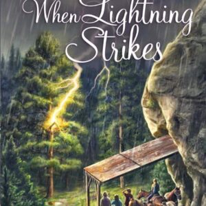 When Lightning Strikes - Mysteries of Silver Peak Series - Book 14