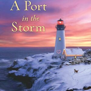 A Port in the Storm - Mysteries of Martha's Vineyard - Book 7