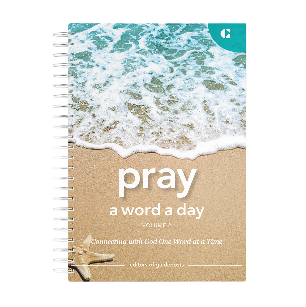 Pray a Word a Day Volume 2