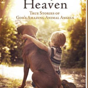 Paws from Heaven