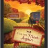 Till We Meet Again - Sugarcreek Amish Mysteries - Book 30 - EPUB