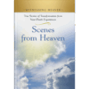 Witnessing Heaven Book 6: Scenes from Heaven - Hardcover