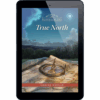 Secrets of Wayfarers Inn Book 27: True North - ePUB
