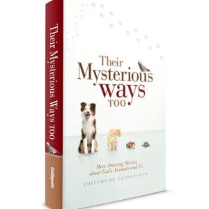 Their Mysterious Ways Too