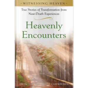 Witnessing Heaven Book 1: Heavenly Encounters